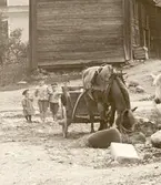 Nyfikna barn på Fredsgatan, 1903