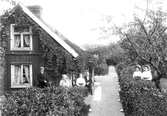 Familj i trädgård, 1911