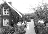 Familj i trädgård, 1911