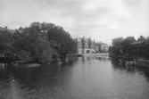 Vy från Vasabron, ca 1900