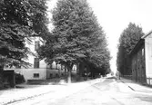 Olaigatan mot väster från Faktorigatan, 1903