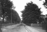 Olaigatan mot öster från Alnängsgatan, 1903