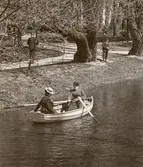 Roddtur i Slottsparken, 1902