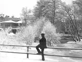 Strömparterren mot sydväst, efter 1887