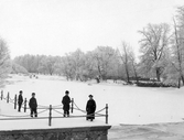 Svartån från vattenfallet vid Kanslibron, före 1903