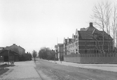 Trädgårdsgatan mot söder från Stortorget, 1903