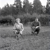 Arthur Kristoffersson och Ebba Jansson, Böda.