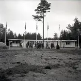 Troligen från invigningen av Domänverkets nya anläggning i Böda.