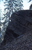 Stribergs gruvpark, 1981