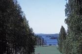 Ustikt till Fåsjön, 1993