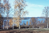 Sjön Usken, 1981