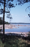 Torrvarpen, 1975