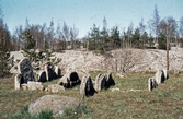 Hällkista, 1975