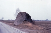 Skattebystenen, 1981