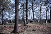 Nämndekarlsbacken, 1993