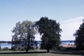 Parken vid Bystad, 1983