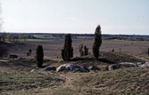 Hjortsberga gravfält, 1975