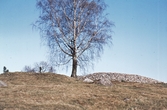 Hjortsberga gravfält, 1975