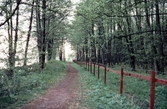 Gång och cykelväg vid Oset, 1980