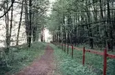 Gång och cykelväg vid Oset, 1980