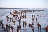 Motionärer på Hjälmaren, 1995