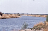 Kvismare kanal, 1975