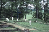 Nunnor vid Riseberga klosterruin, 1990
