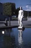 Statyn Kraka,1994