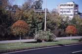 Träd längst västra centrumleden,1999