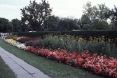 Blomstergatan,1987