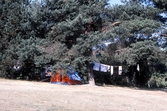 Tältsemester på Gustavsvik camping, 1983