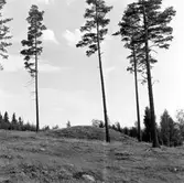 Gravfältet vid Tuna kyrkskola.