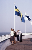 Utsiktsaltanen på Svampen, 1982