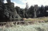 Paddling på Svartån, 1979