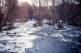 Vårflod vid Karlslund, 1980