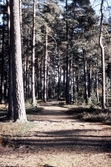 Motionsspår i Karlslundskogen, 1986