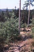 Vandringsled i Bergslagsleden, 1990