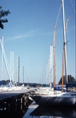 Segelbåtar i hamnen, 1982
