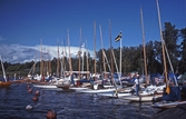 Norra hamnen, 1993