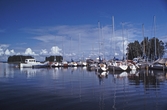 Hampetorps båthamn, 1987