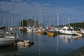 Hampetorps båthamn, 1995