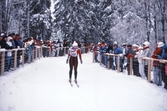 Anna Rosendahl i skidspåret under skid-SM, 1986