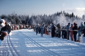 Elitskidåkare i skidspåret under skid-SM, 1986