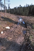 Spår efter skogsavverkning i Bergslagsleden, 1990
