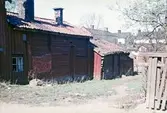 Hedlunds gränd, 1950-tal
