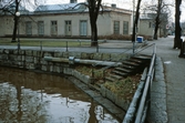 Länsmuseet, 1981