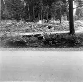 Fornlämning nr 3, från S.