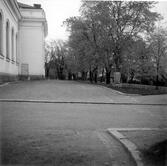 Minnessten med takryttare, Domkyrkan.