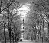 Stadsparken med domkyrkan i bakgrunden.