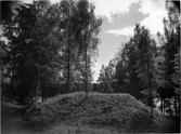 Gravfältet vid Holm hög nr 9, foto från NO. Före utgrävningen.